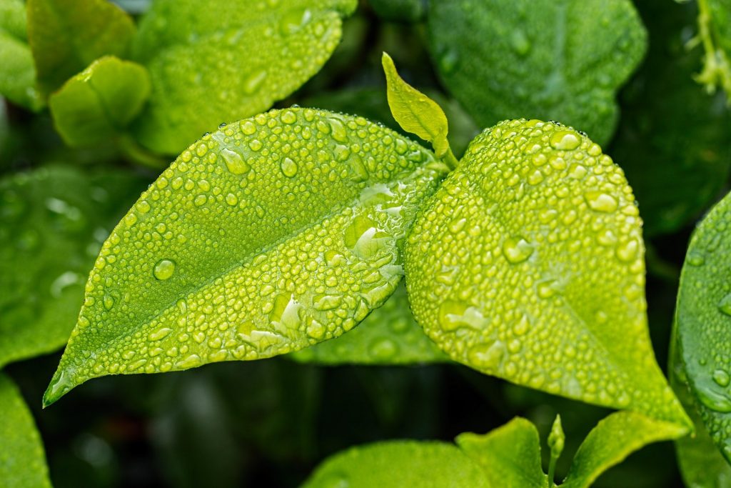 ISO 14001 image
