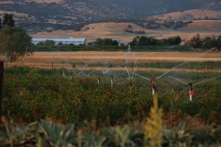 SPRING ADD-ON Assessment: Water Management in Primary Plant Production Processes